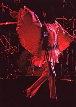 Freddie Mercury Stage Image